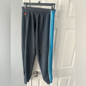 Aviator Nation navy blue 5 stripe sweatpants